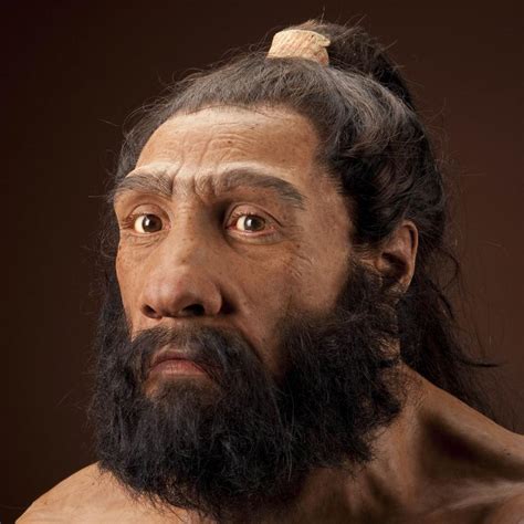 Neanderthals Parimatch